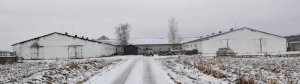 На базе ОАО "Чересы" состоялась коллегия управления сельского хозяйства