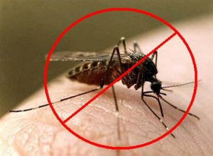 Малярия — никакой экзотики