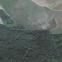 "Румы в поле" — деревня Румполье