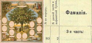 Ах ФАМИЛИЯ! Откуда фамилии Миорщины? Можно добавить ...