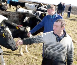 На рабочем совещании-семинаре обсудили вопросы животноводства