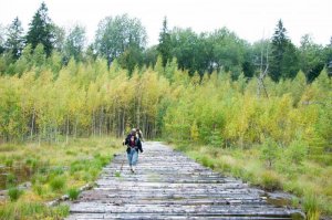 Суховержье (Суховежа) — небольшая деревушка на Миорщине