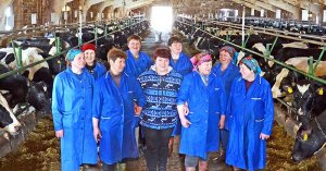 На молочно-товарной ферме «Новосёлки» в ОАО «Николаёвский»