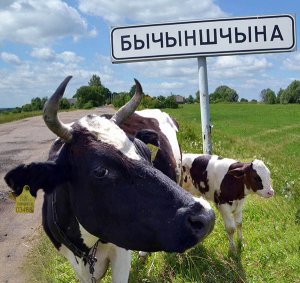 По дороге близко Дисны малоприметный поворот на Бычинщину