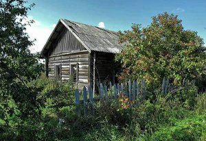 Сведения о пустующих и ветхих домах в сельской местности: Новопогостский и Миорский сельисполкомы