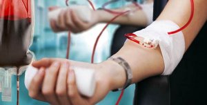 Донорство крови. Актуальная и нужная тема