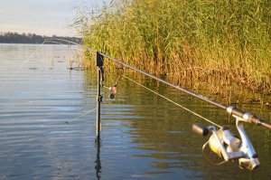 Платное рыболовство на озере Вера - после создания условий