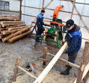 Растет спрос на сосновые колья в ООО "Капиталдревпродукт" в Миорском районе