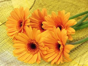 Уважаемые работники и ветераны  бытового обслуживания населения  и жилищно-коммунального хозяйства!