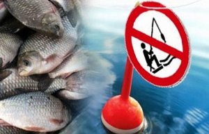 Запрет на лов рыбы действует в Беларуси