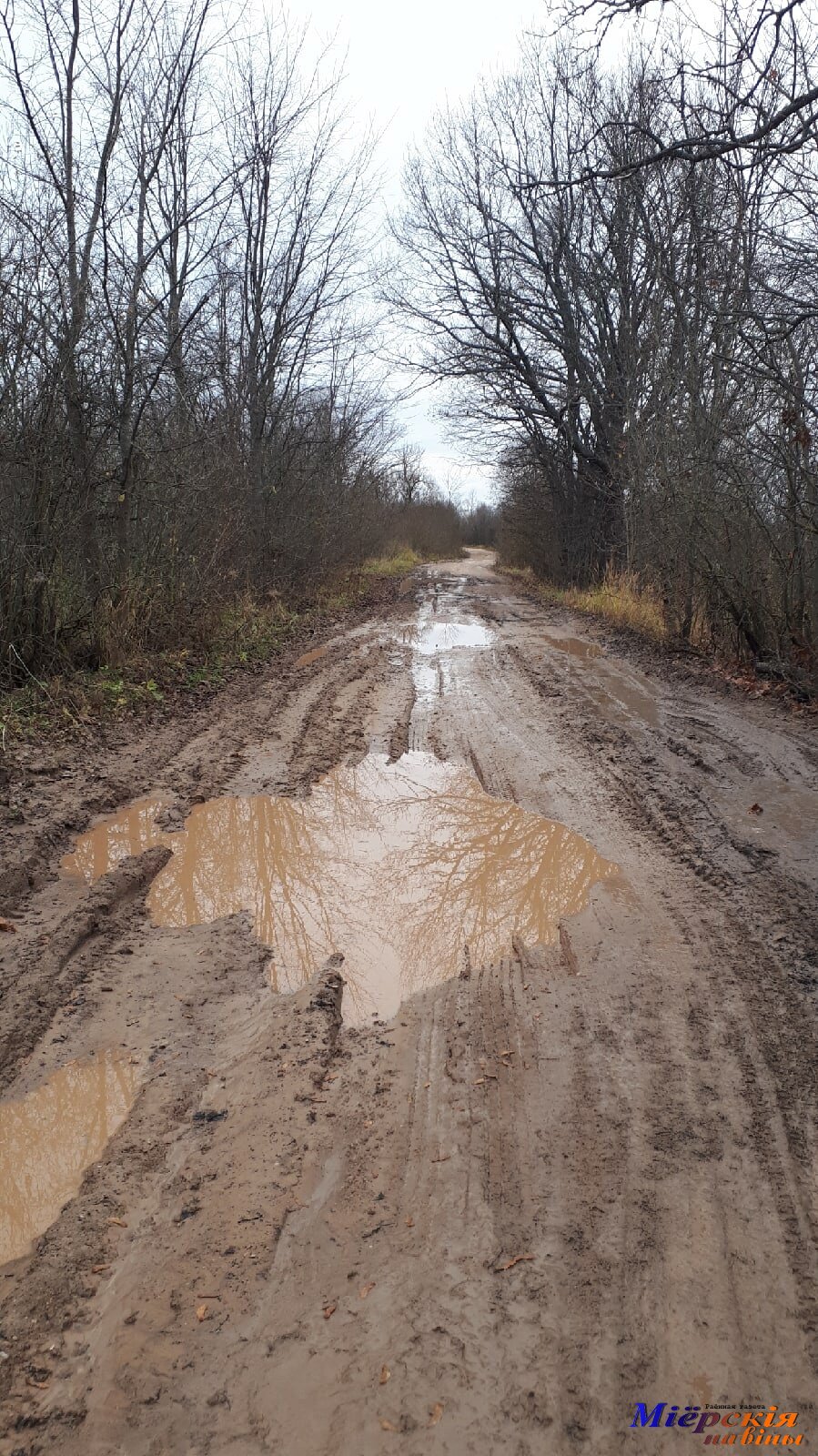 Дорога  по маршруту Малая Ковалевщина - Суховержье все же требует ремонта