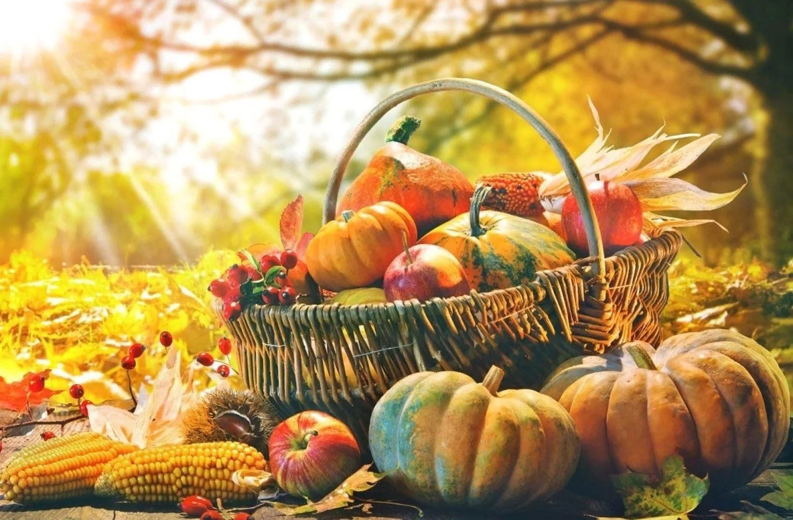 Вниманию физических лиц, реализующих излишки урожая