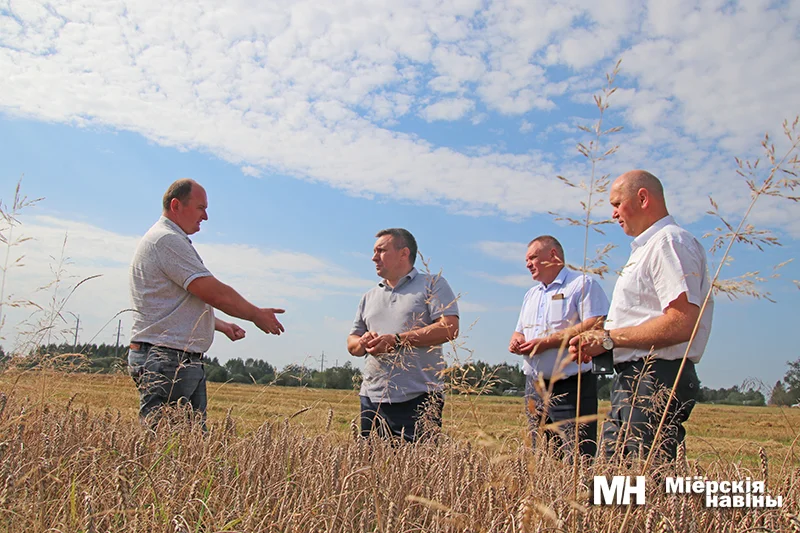 Министр  сельского хозяйства и продовольствия Юрий Горлов оценил ход уборочной на Миорщине