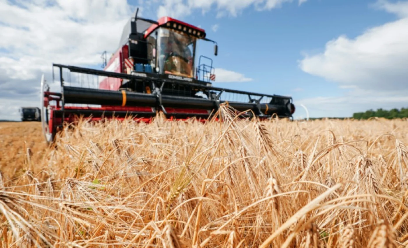 Зерновые и зернобобовые культуры с кукурузой в Беларуси убраны с 94% площадей