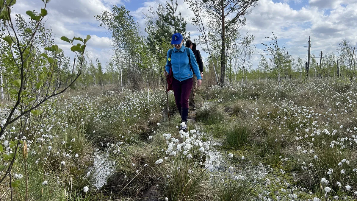 Почему белорусские болота привлекают все больше туристов