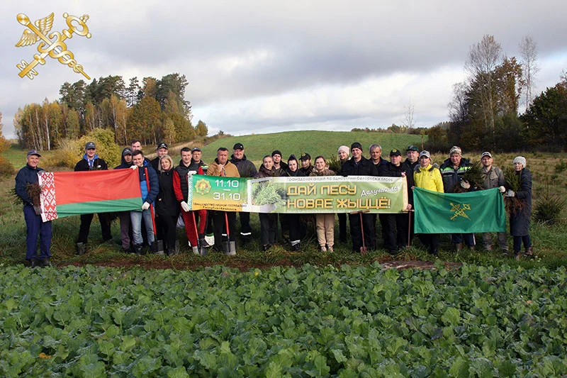 Витебская таможня и Витебский филиал РУП «Белтаможсервис» приняли участие в республиканской акции «Дай лесу новае жыццё!»
