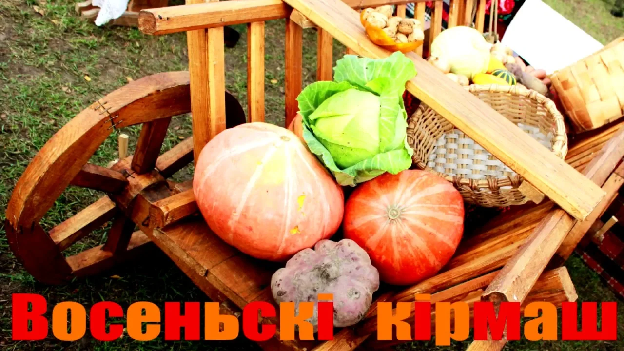 Осенняя ярмарка в г.Миоры пройдет 12 октября