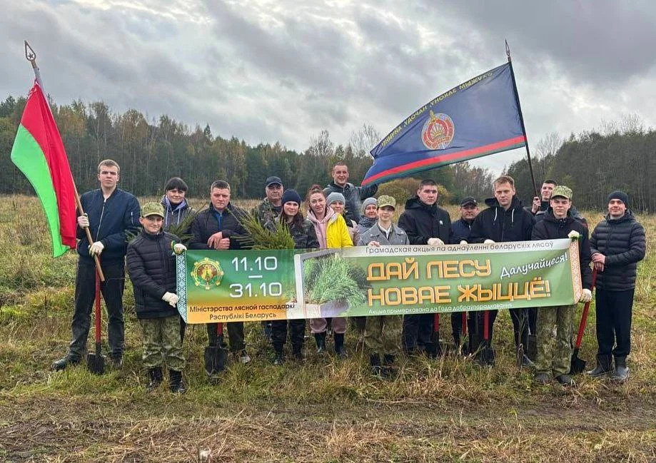 Сотрудники Миорского РОВД совместно с воспитанниками военно-патриотического клуба «Факел» приняли участие в посадке деревьев