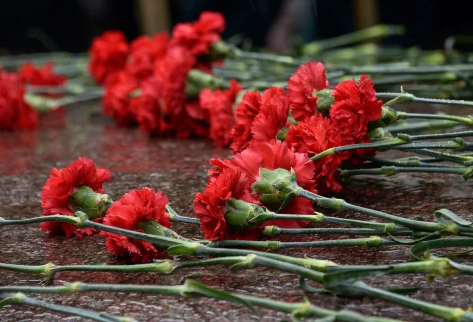 Митинг, посвященный Дню защитников Отечества и Вооруженных Сил Республики Беларусь, пройдет в Миорах